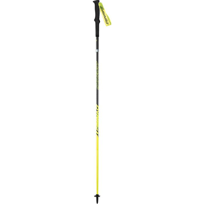 Трекінгові палиці Dynafit Vertical Pro Pole, 110 cm, black/catus (016.003.0093)