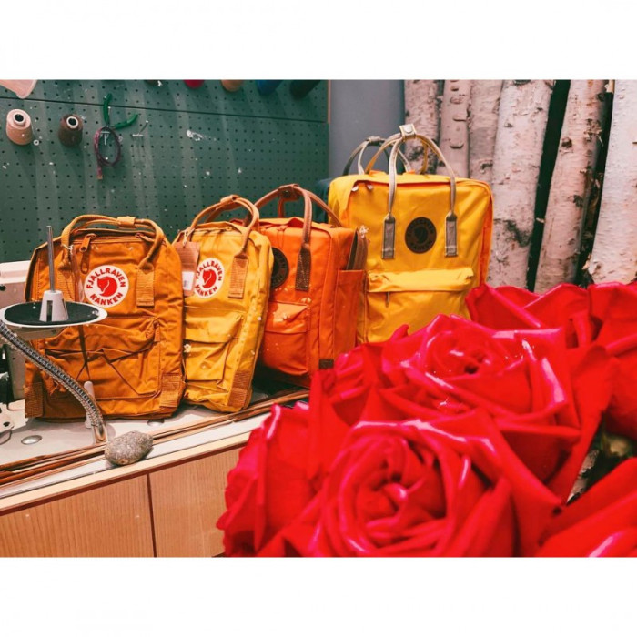Рюкзак Fjallraven Kanken Acorn/Ox Red (23510.166-326)