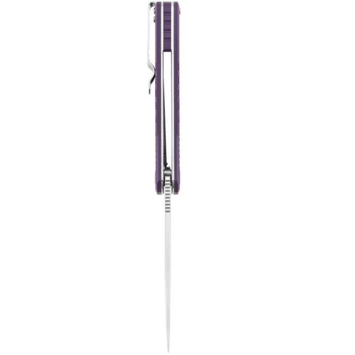 Ніж складаний Ganzo G769 Plum (G769-PL)