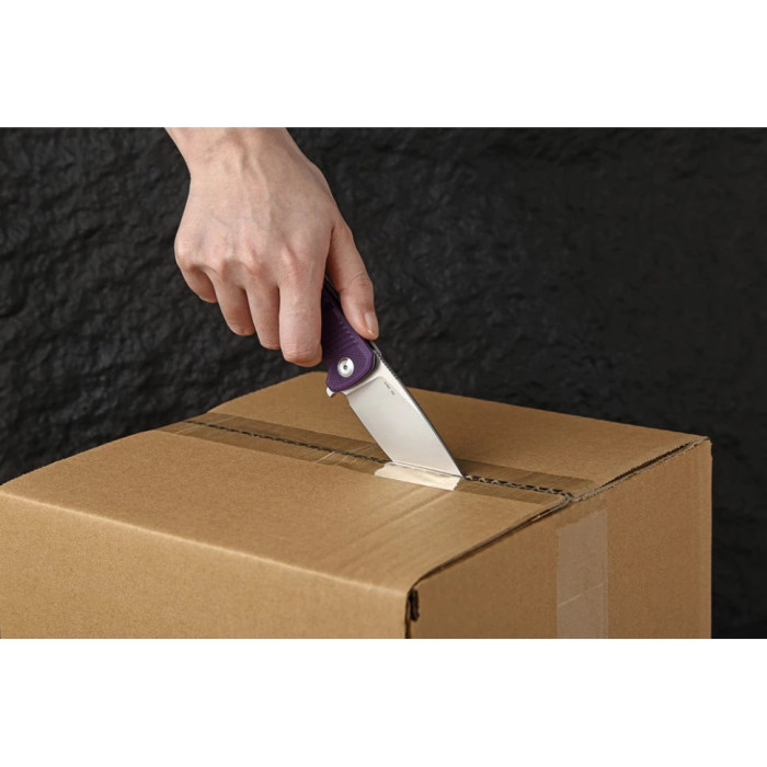 Ніж складаний Ganzo G769 Plum (G769-PL)