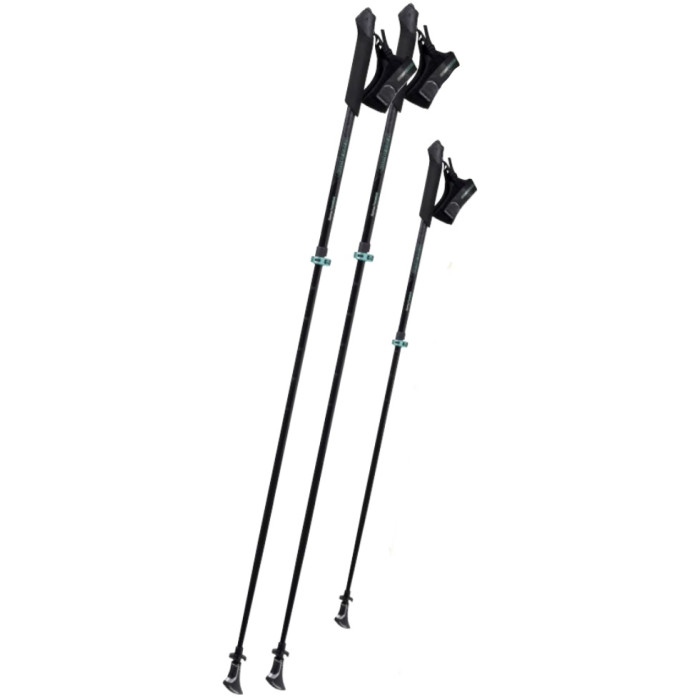 Трекінгові палиці Komperdell Sarma Powerlock p.S Black/Mint (1842387-10)