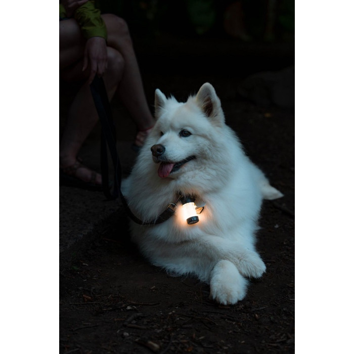 Фонарь кемпинговый LedLenser ML4 Warm Light (502231)