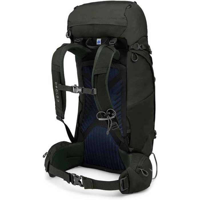 Рюкзак Osprey Kestrel 48 Picholine Green - S/M (009.1860)