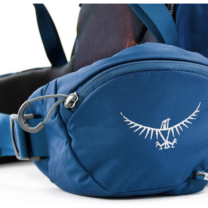 Рюкзак Osprey Kestrel 48 Picholine Green - S/M (009.1860)
