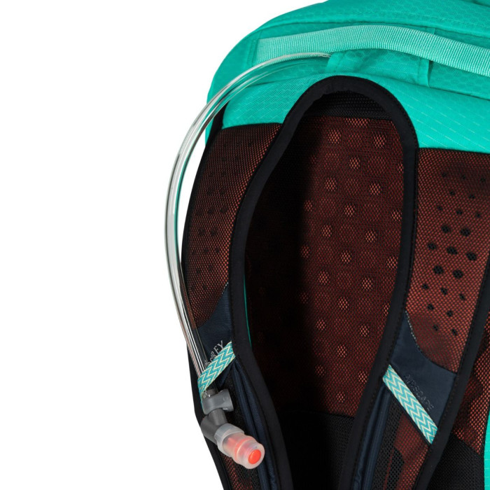 Рюкзак Osprey Comet 30 silver lining/tunnel vision pop (009.3139)
