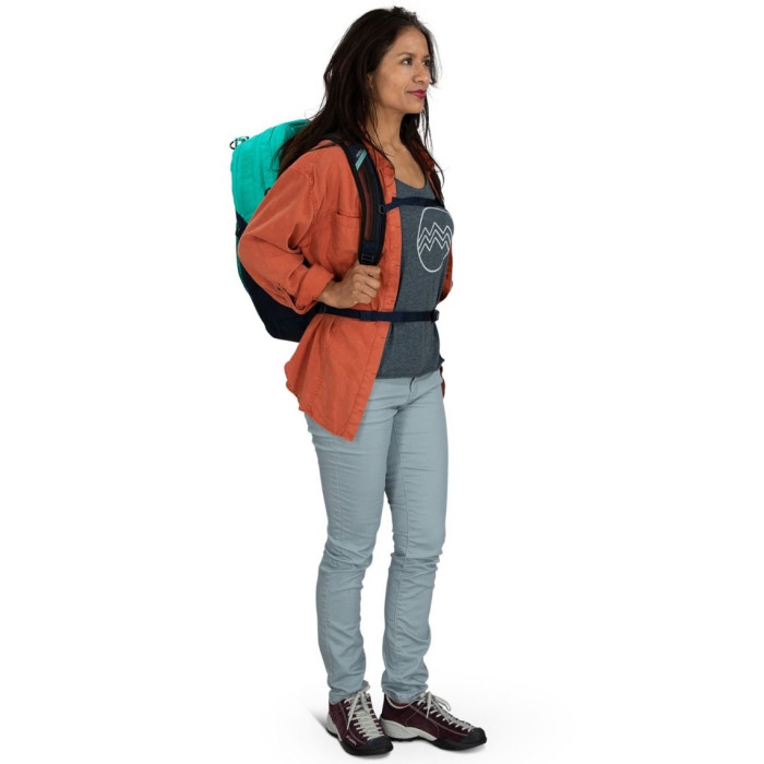 Рюкзак Osprey Comet 30 silver lining/tunnel vision pop (009.3139)