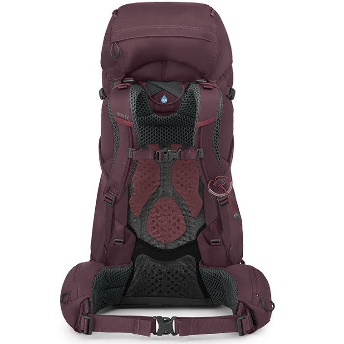 Рюкзак жіночий Osprey Kyte 58 elderberry purple - WM/L (009.3324)