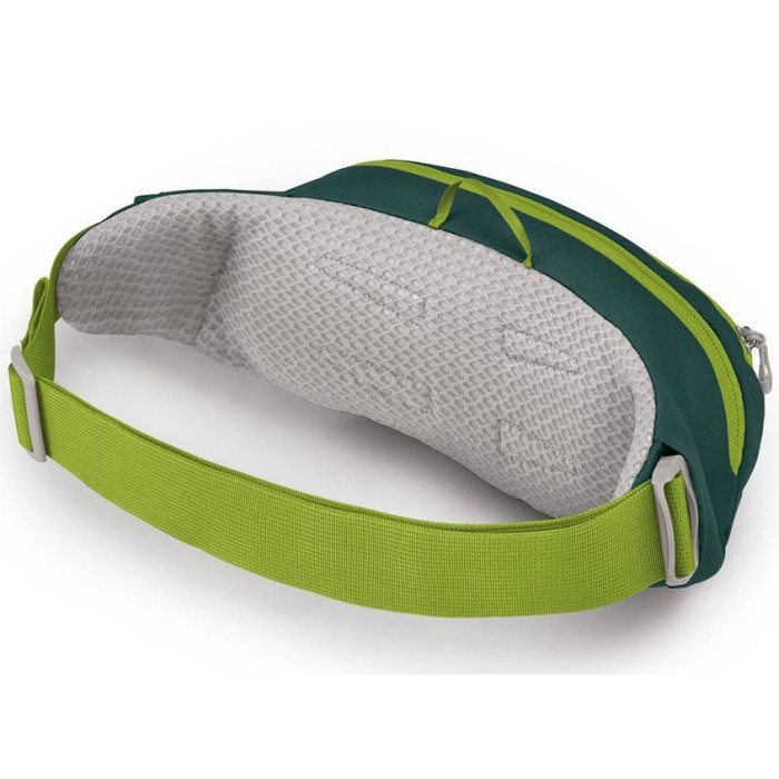 Сумка на пояс Osprey Daylite Waist escapade green/baikal green (009.3403)
