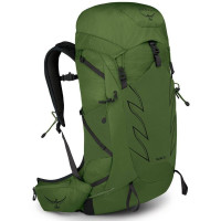 Рюкзак Osprey Talon 33 green belt/black - L/XL (009.3696)