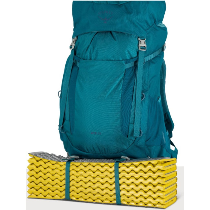 Дитячий рюкзак Osprey Ace 65 blue spikemoss/deep peyto (009.3884)