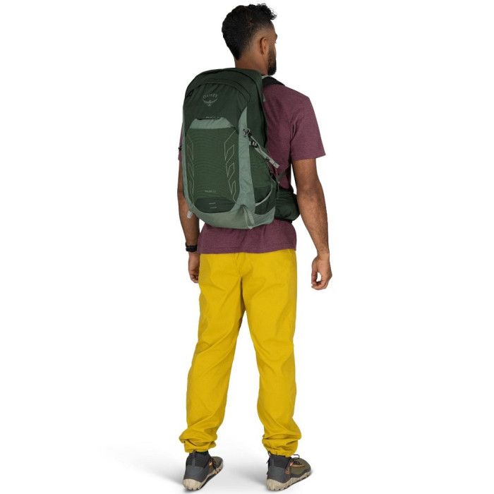 Рюкзак Osprey Talon 22 green canopy/pine leaf (009.4077)