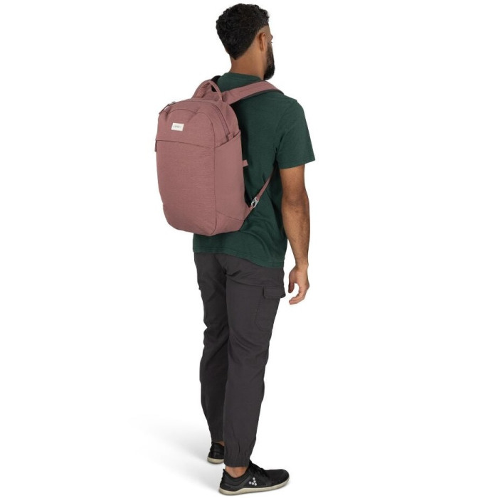 Рюкзак Osprey Arcane Large Day purple garnet heather (009.4306)