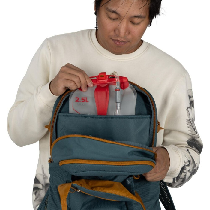 Рюкзак Osprey Daylite Plus iris pink (009.4327)