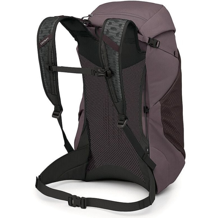 Рюкзак Osprey Hikelite LT 30 graphite purple (009.4407)