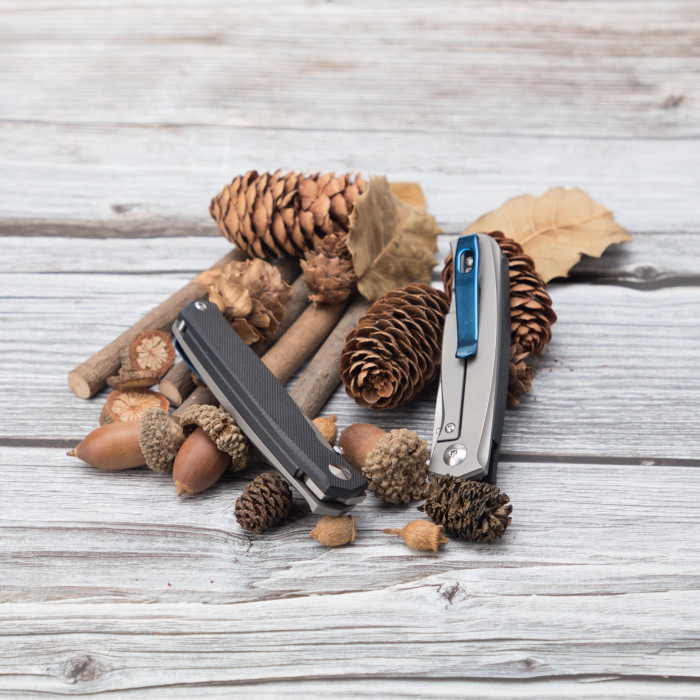 Ніж складаний Ruike M661-TZ, (7.4 см) steel 154СМ / G10 чорний (M661-TZ)