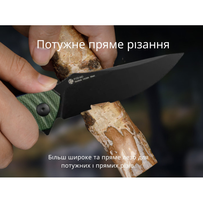 Ніж складаний Ruike P123-MG, (9.2 см) 14C28N / мікарта темно-зелений (P123-MG)
