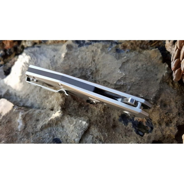 Ніж складаний Ruike P135-SF, (9.2 см) 14C28N / steel 420 сірий (P135-SF)