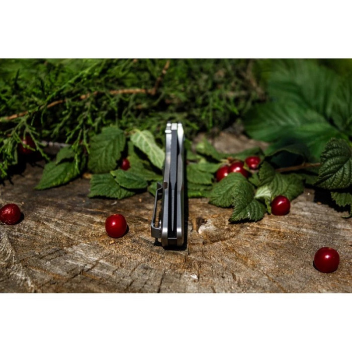 Ніж складаний Ruike P135-SF, (9.2 см) 14C28N / steel 420 сірий (P135-SF)