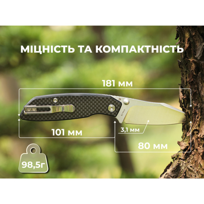 Нож складной Ruike P746-CB, (8 см) 14C28N / G10 черный (P746-CB)