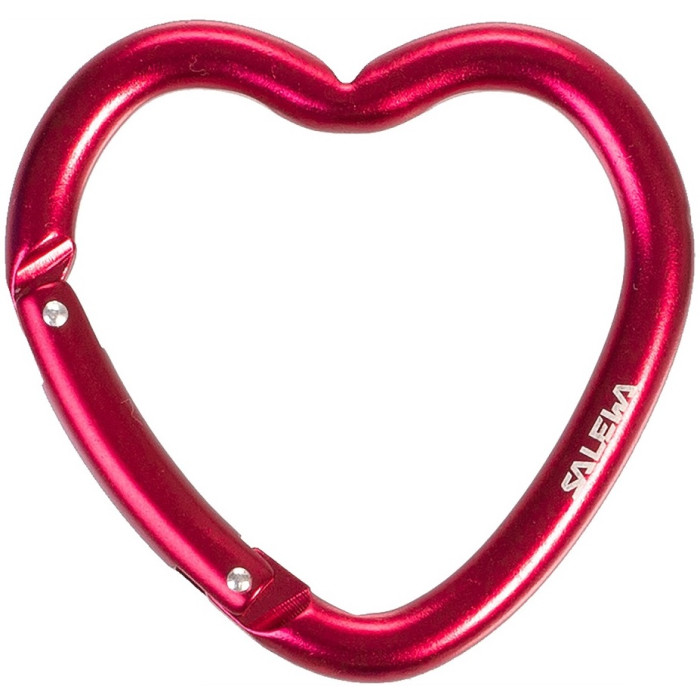 Карабін-брелок Salewa Heart Carabiner (013.003.1433)