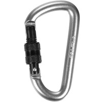 Карабін-брелок Salewa D-Shape Carbiner with screw (013.003.1434)