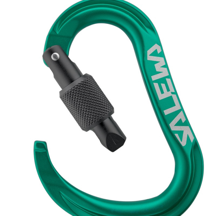 Карабін Salewa Ortles HMS - Medium - green (013.003.1545)