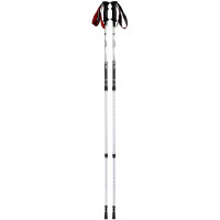 Трекінгові палиці Tramp Trekking 140 cm, Alu 6061 (UTRR-003)