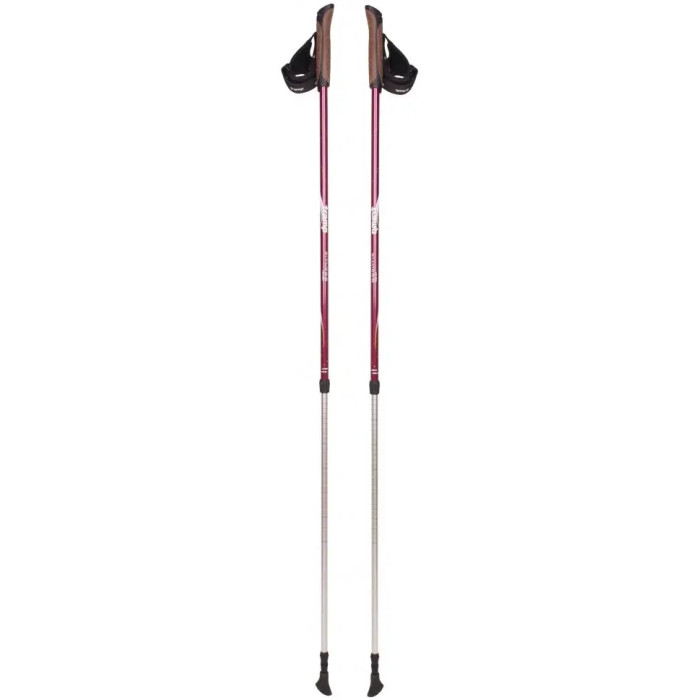 Палки для скандинавской ходьбы Tramp Fitness (TRR-011)