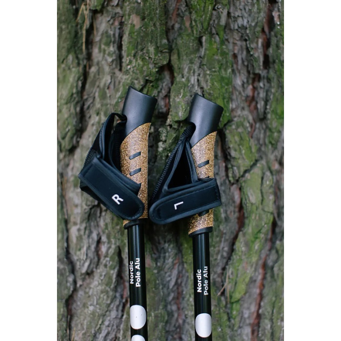 Палки для скандинавской ходьбы Tribe Nordic Pole Alu (T-ME-0022-white)