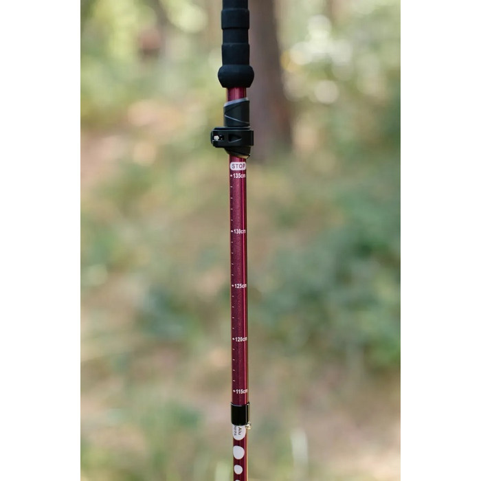 Треккинговые палки Tribe Z-Pole Alu (T-ME-0024-plum)