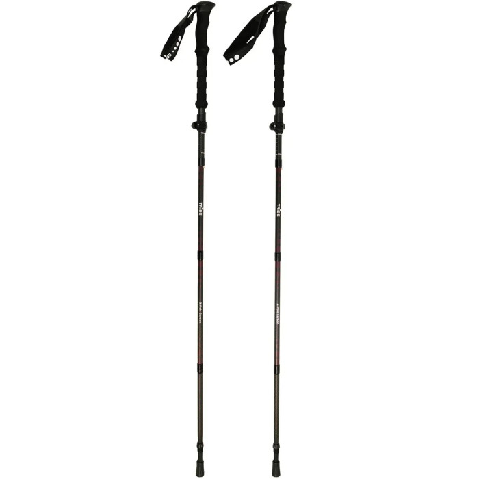 Треккинговые палки Tribe Z-Pole Carbon (T-ME-0025-plum)