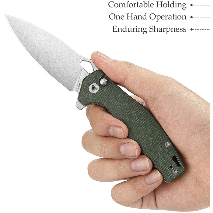 Нож складной Trivisa Corvus-04G, зеленый,14C28N, микарта (TY20-GM-14)